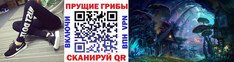 Галлюциногенные грибы Cubensis  Сосновка 